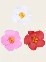 1735799420774e232f2eba936a6c6623600fc7c817_thumbnail_220x293.webp