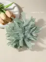 17337113348c5fa966f398de15ba80bbe10cd3d693_thumbnail_220x293.webp